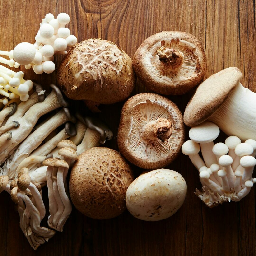 5 awesome mushroom supplement benefits